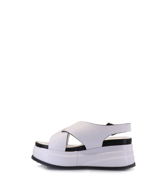 ASHI WHITE PLATFORMS